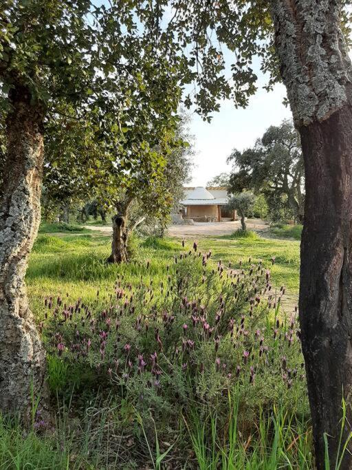 Quinta Terramadome: Dome Incomum & Responsavel Villa Penamacor Dış mekan fotoğraf