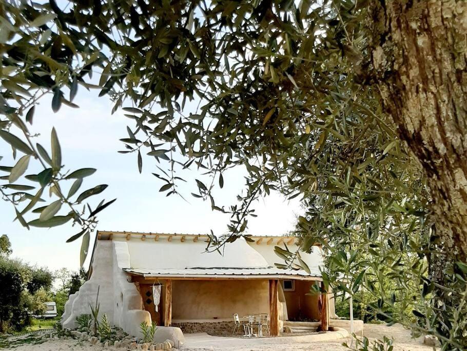 Quinta Terramadome: Dome Incomum & Responsavel Villa Penamacor Dış mekan fotoğraf